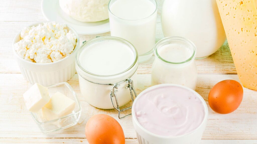 Kefir và các loại sữa chua - BOH Kefir