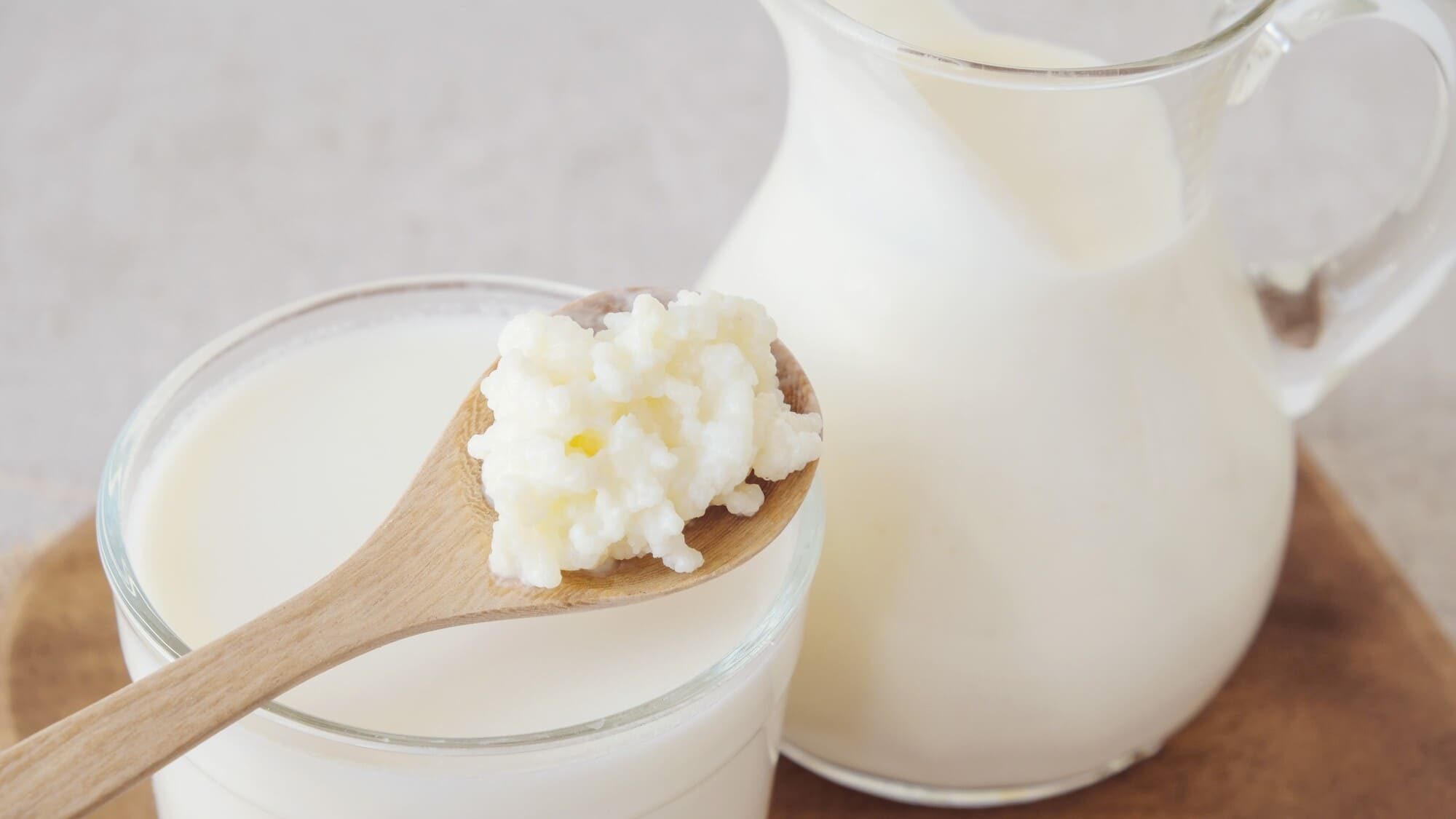 Nấm kefir tươi sống (1) - BOH Kefir
