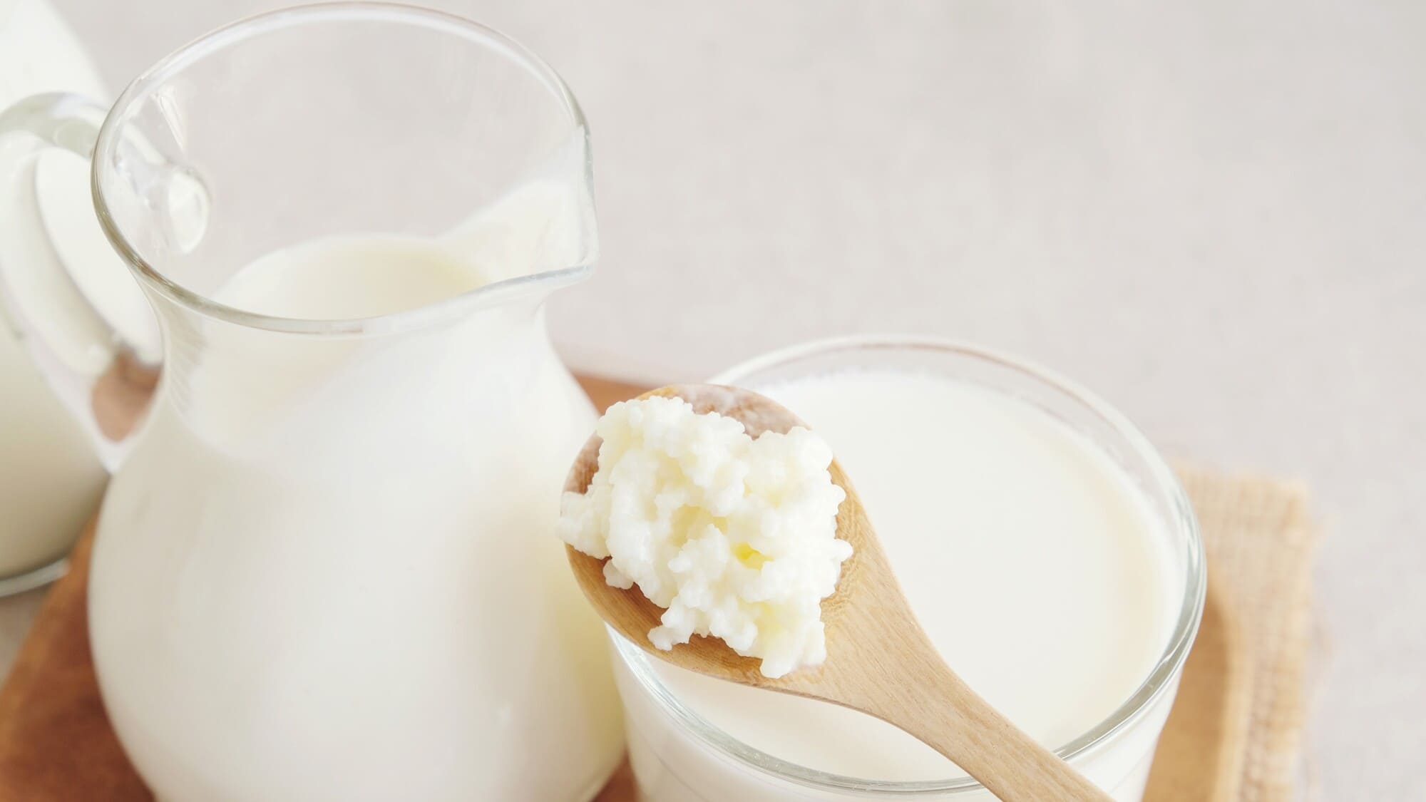 Nấm kefir tươi sống (2) - BOH Kefir