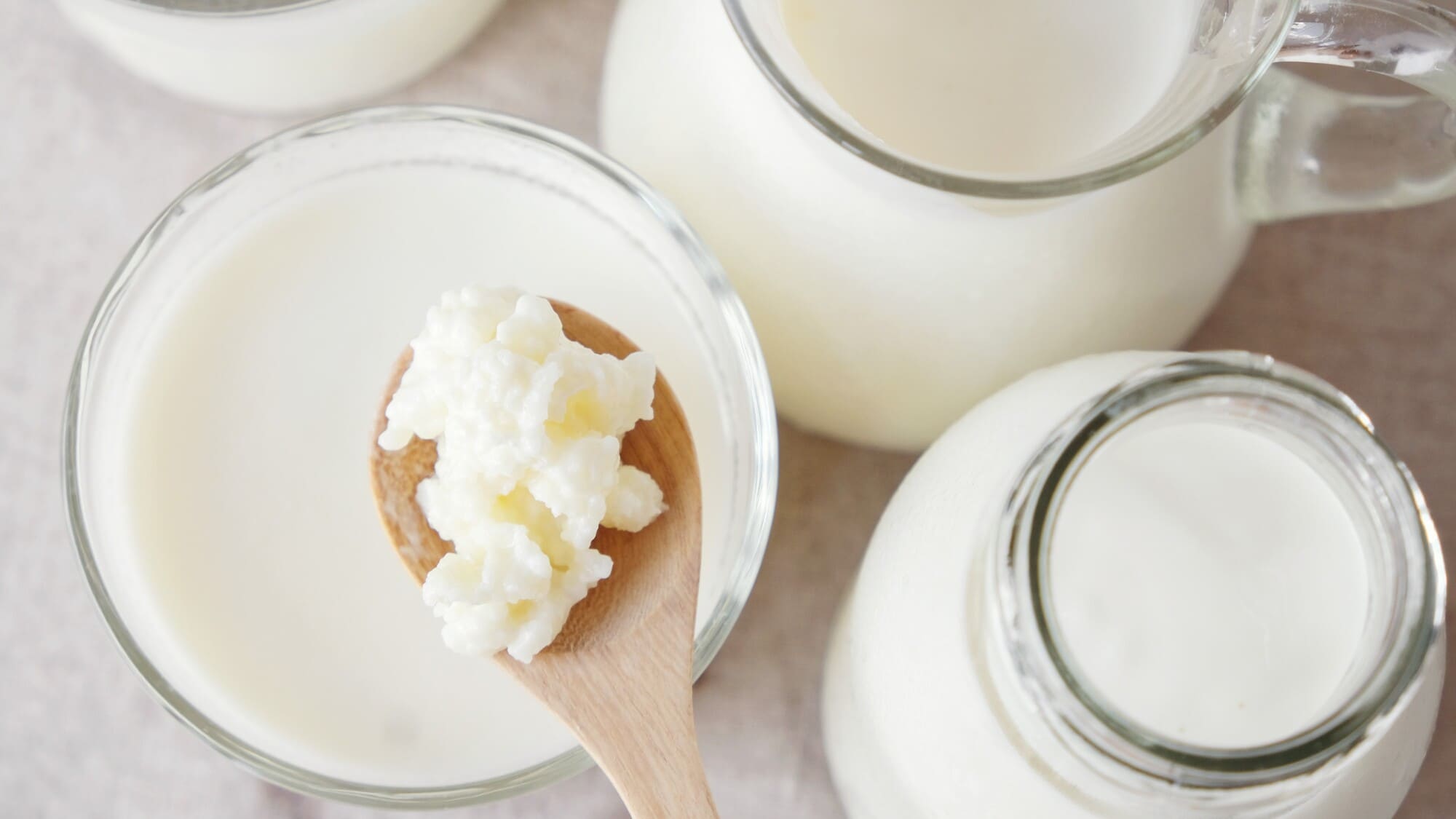 Nấm kefir tươi sống (6) - BOH Kefir