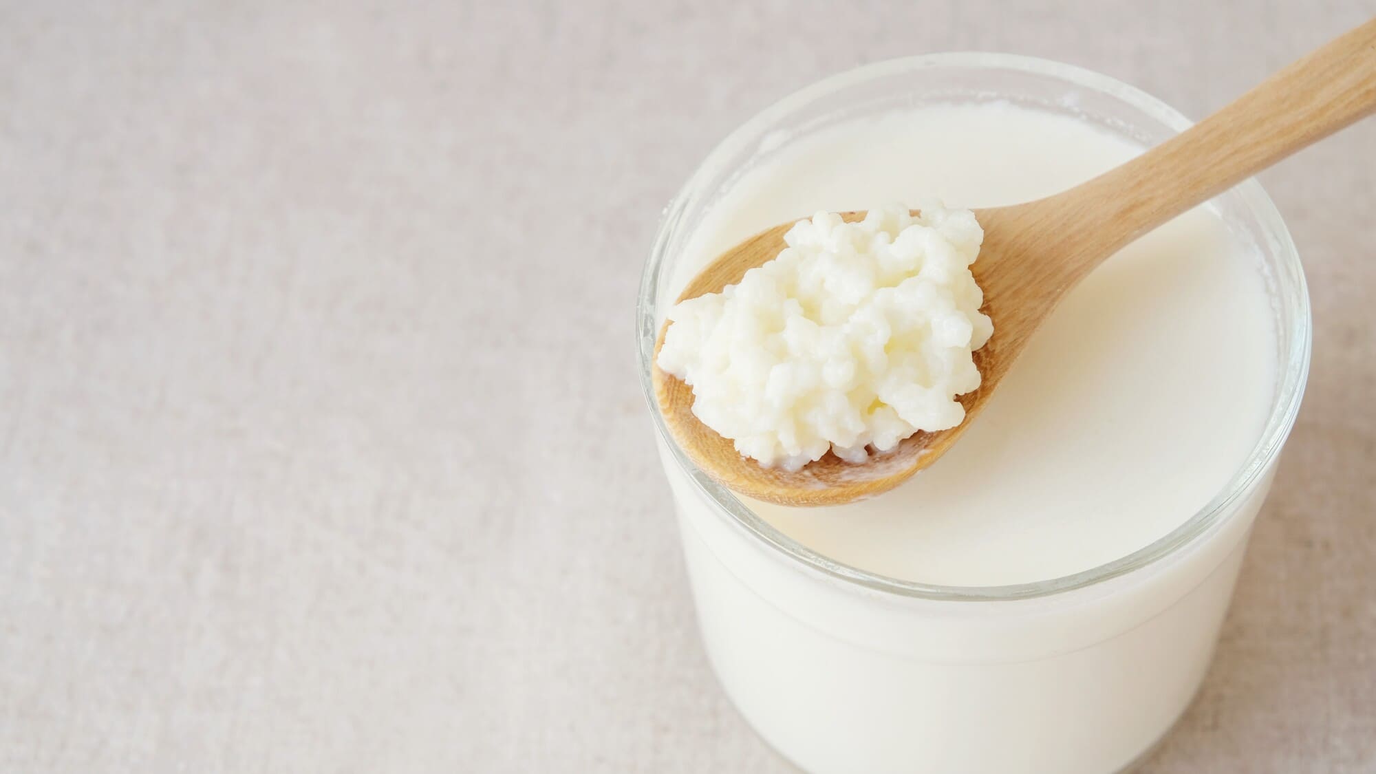 Nấm kefir tươi sống (7) - BOH Kefir