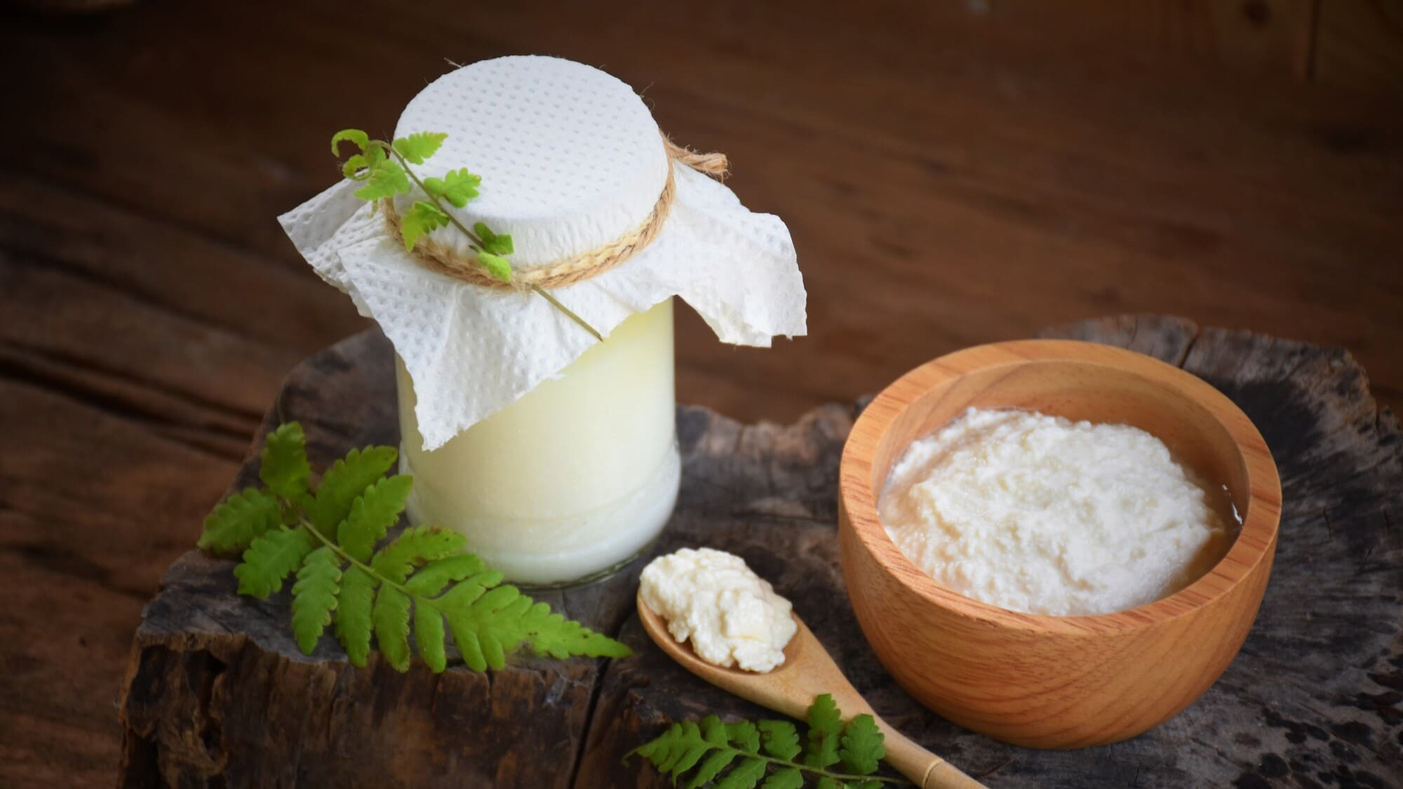Nấm kefir tươi và sữa chua thành phẩm (1) - BOH Kefir