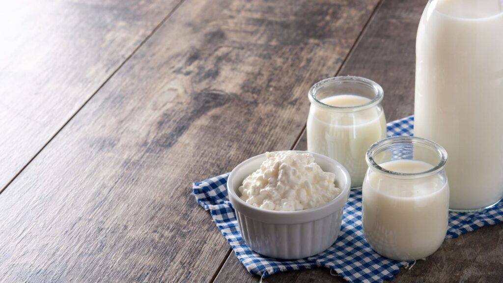 Nấm kefir tươi và sữa nguyên chất (3) - BOH Kefir