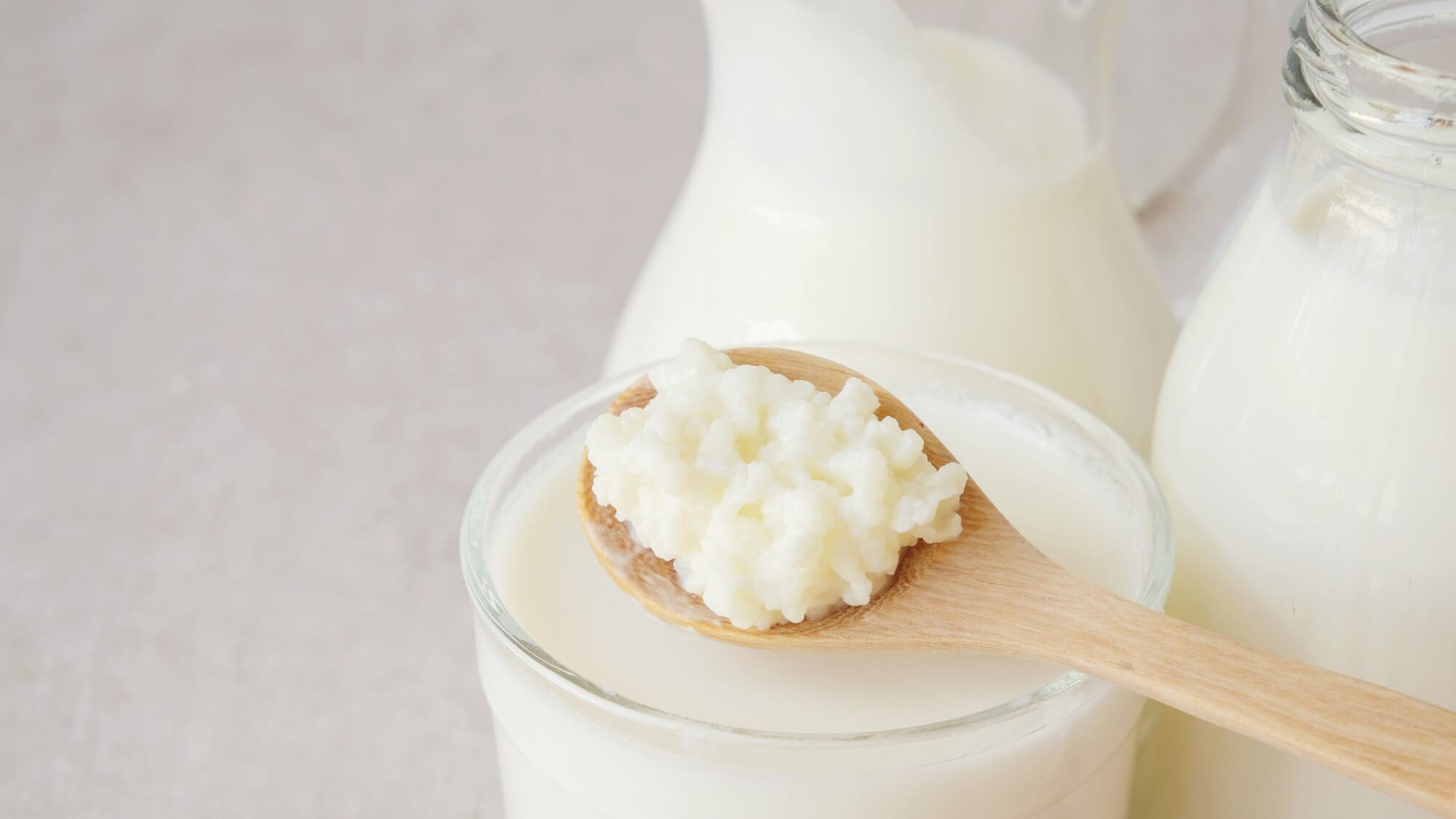 Nấm kefir tươi - BOH Kefir
