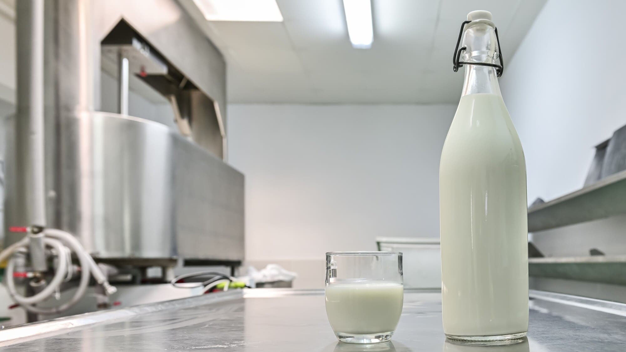 Sữa chua kefir nguyên chất trong chai thuỷ tinh - BOH Kefir