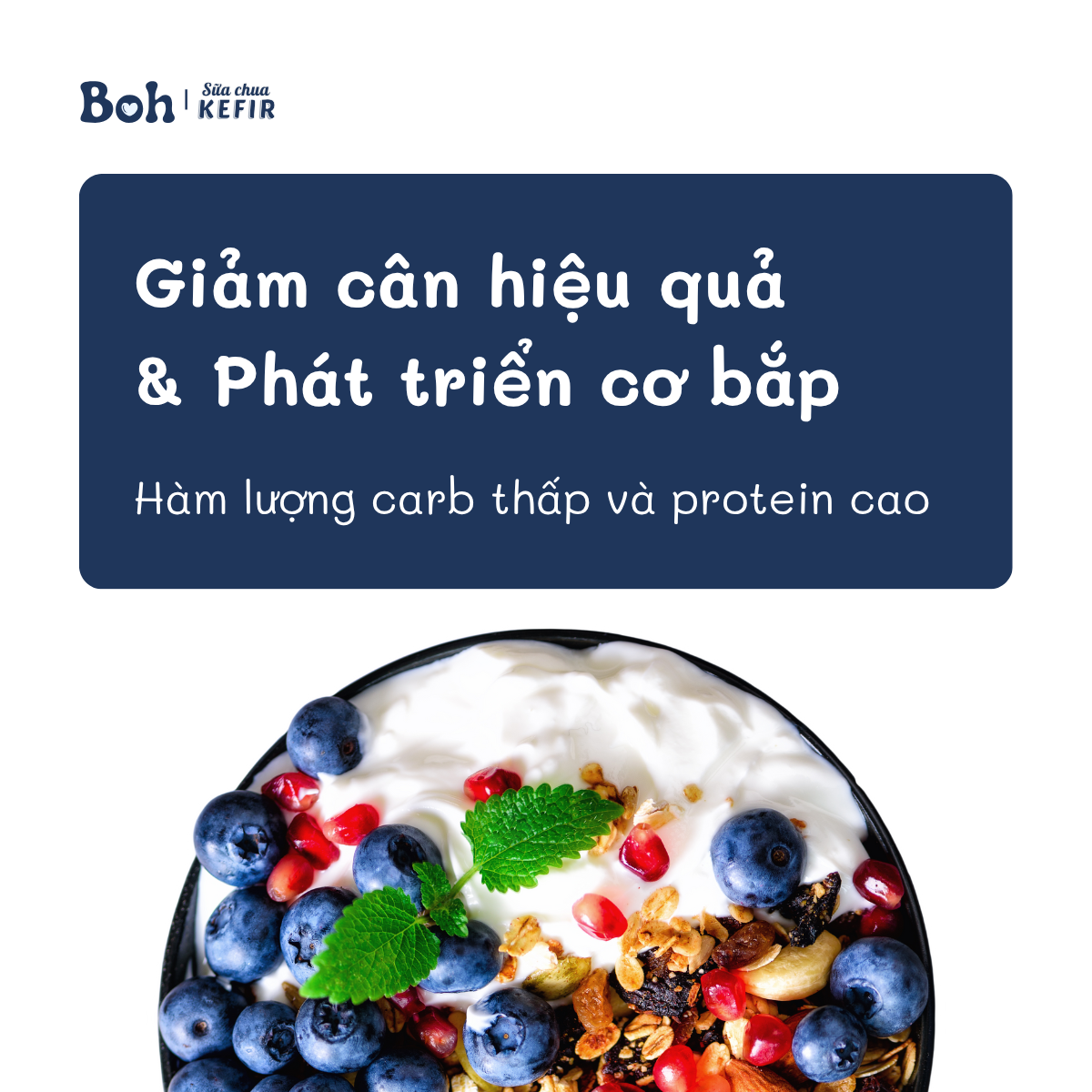 Sữa chua Hy Lạp Kefir - Boh (1) - BOH Kefir