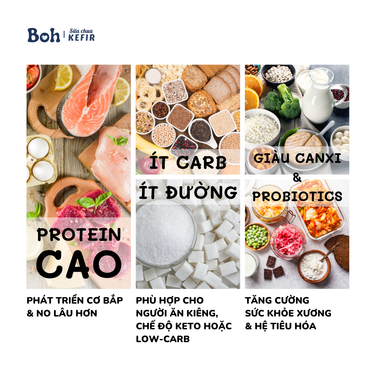 Sữa chua Hy Lạp Kefir - Boh (3) - BOH Kefir