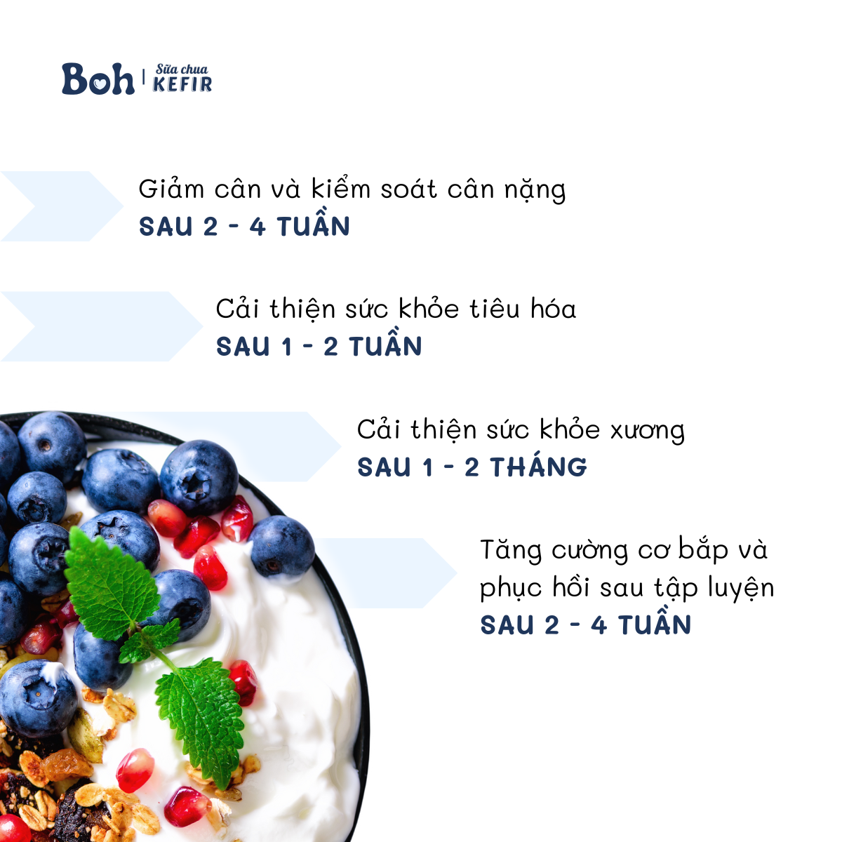 Sữa chua Hy Lạp Kefir - Boh (6) - BOH Kefir